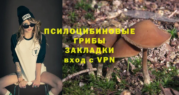 ECSTASY Богородицк