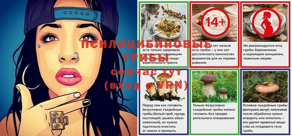 марки nbome Богданович