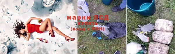 ECSTASY Богородицк