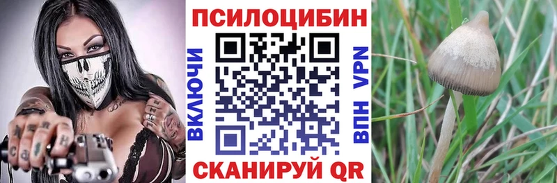 Галлюциногенные грибы Cubensis Нефтеюганск
